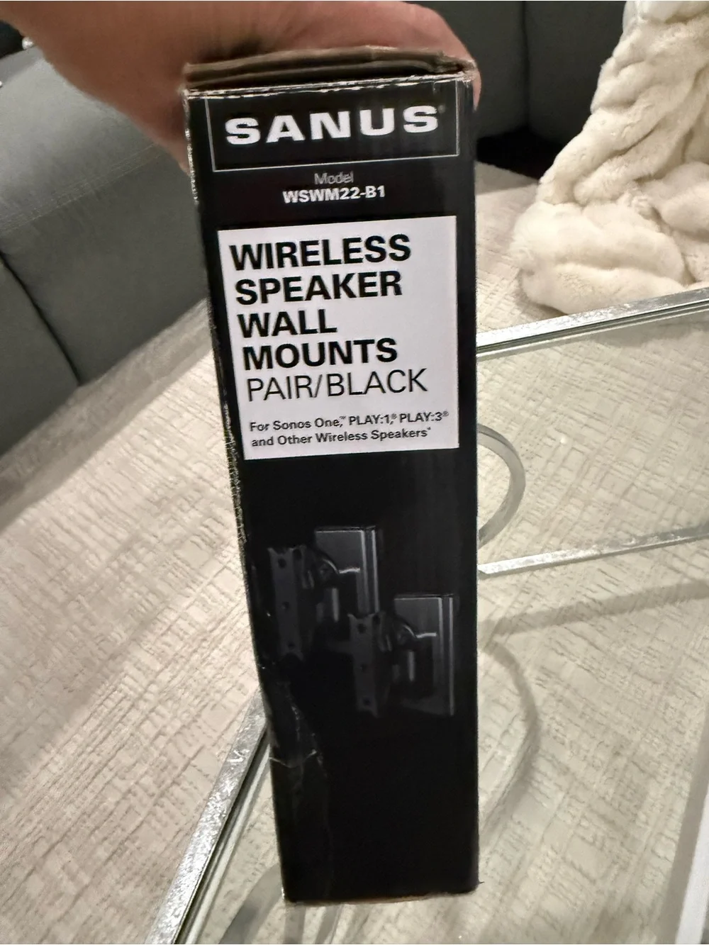 Sanus wireless speaker